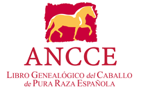LGANCCE – Libro Genealogico del Caballo de Pura Raza Española